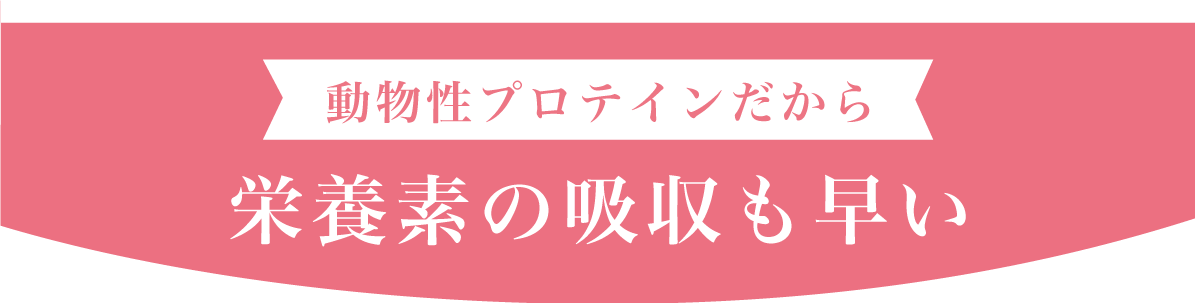 動物性プロテインだから栄養素の吸収も早い