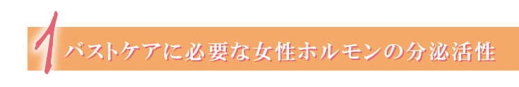 バストケアに必要な女性ホルモンの分泌活性