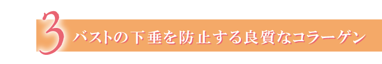 バストの下垂を防止する良質なコラーゲン